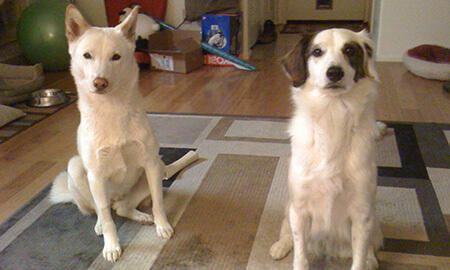Ming-Mei and Murphy